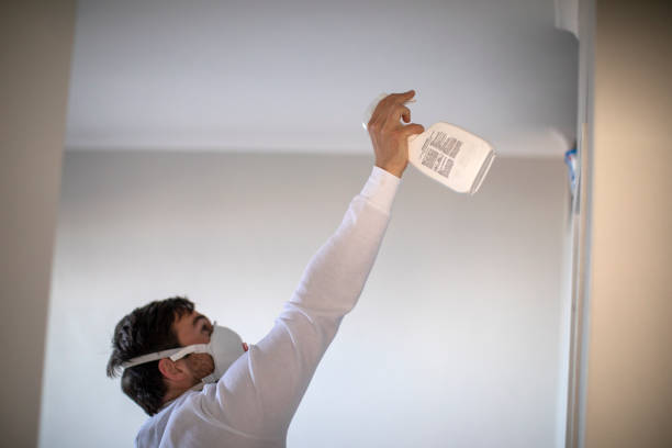 Best Mold Cleaning Services  in Greensburg, IN