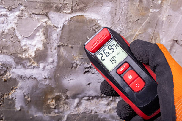 Best Fast Mold Removal  in Greensburg, IN